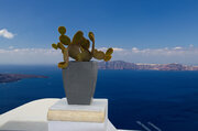 Cactus and Caldera