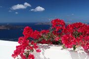 Bougainvillea with Caldera